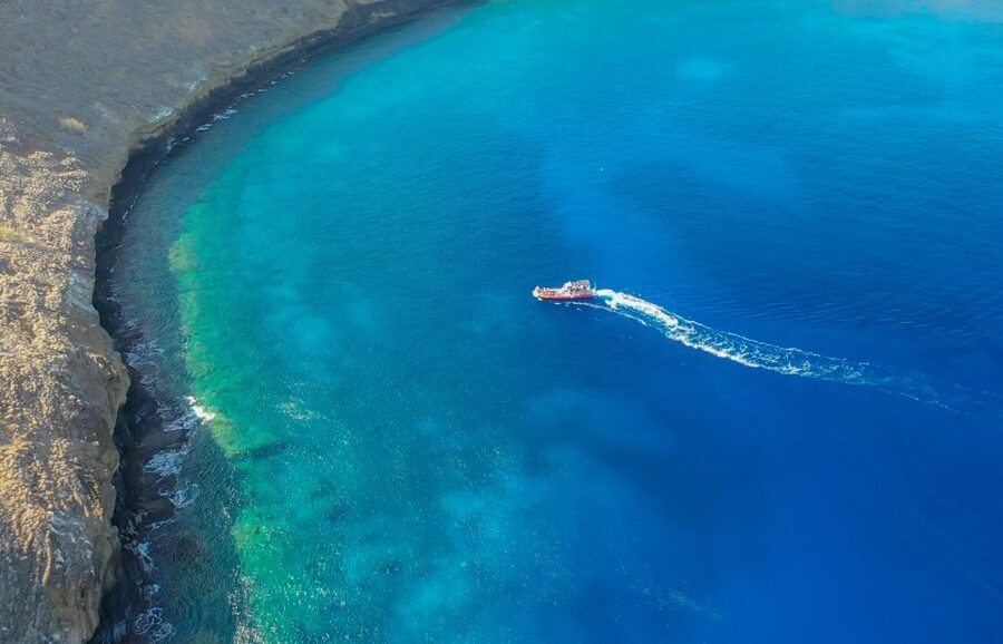 From Kihei: Molokini Crater and Turtle Town Snorkeling - What the crew adds to the experience