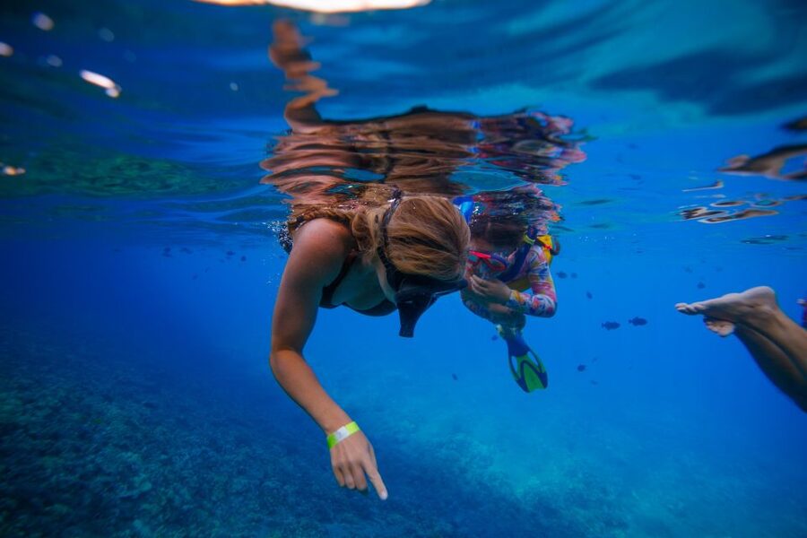 From Kihei: Molokini Crater and Turtle Town Snorkeling - Boat comfort, food, and what is included