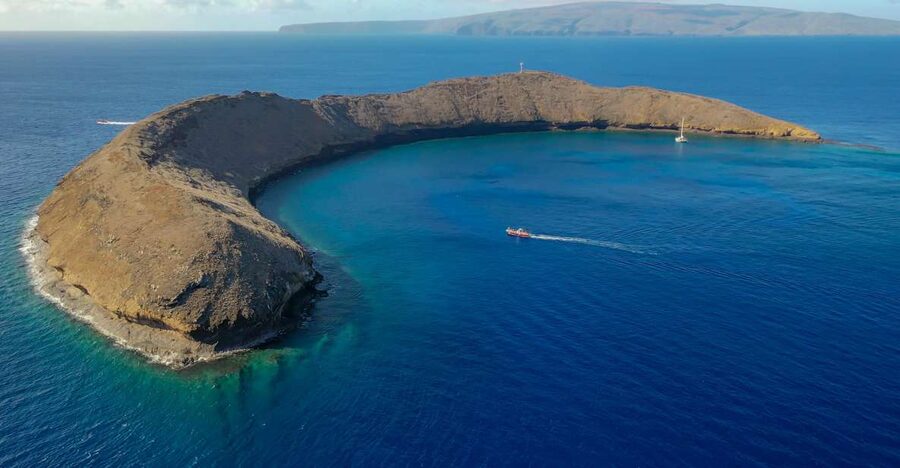 From Kihei: Molokini Crater and Turtle Town Snorkeling - Who should book, and who should skip it?