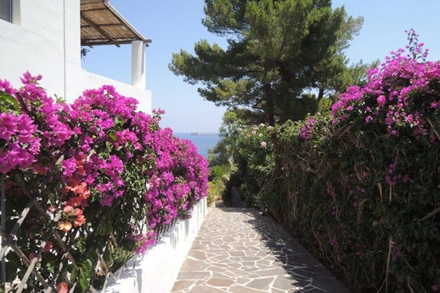 From Lipari: Panarea and Stromboli Cruise with Stops - Who will enjoy this cruise most