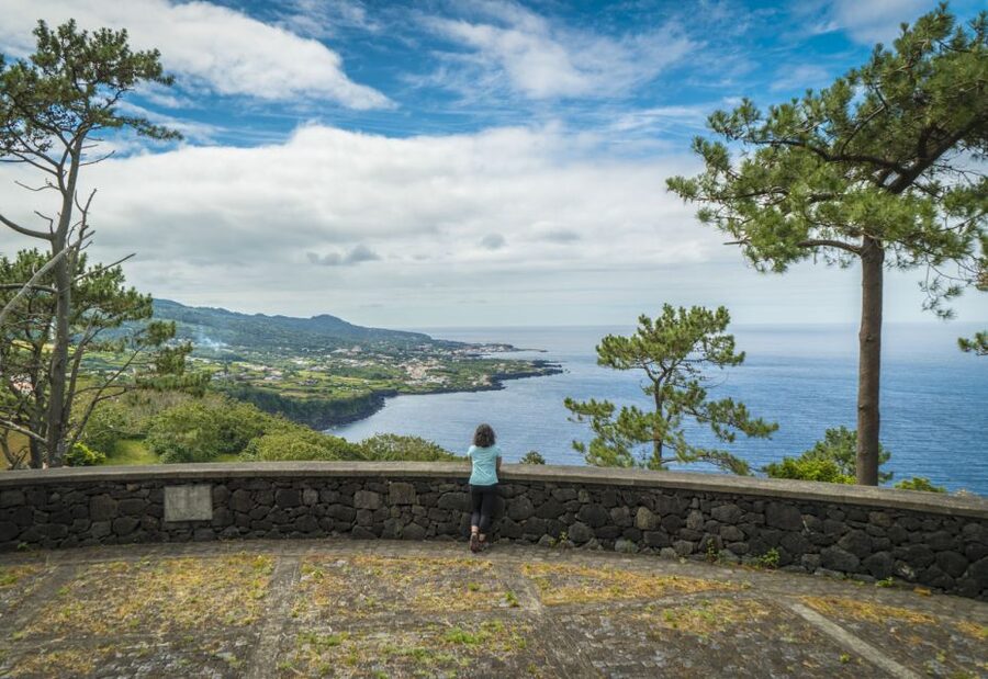 From Madalena: Pico Volcanoes and Lakes Guided Day Tour - Is $106 a fair price?