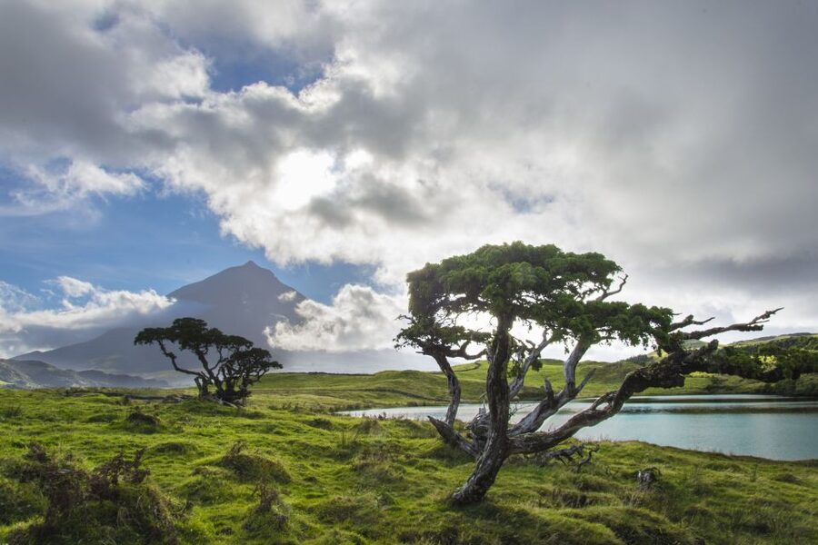 From Madalena: Pico Volcanoes and Lakes Guided Day Tour - Four lakes and the quiet side of Pico