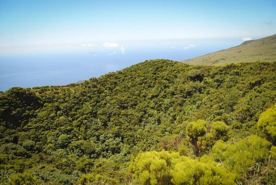 From Madalena: Pico Volcanoes and Lakes Guided Day Tour - Lava formations along Pico’s coast