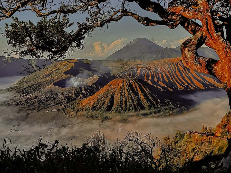 From Malang: Shared Mount Bromo & Ijen Tours Start - 2D1N - What the $116 price really buys you