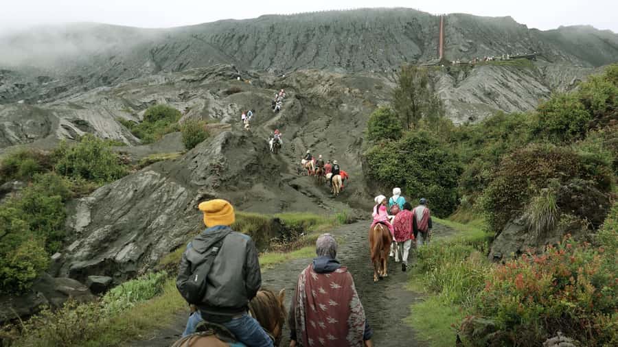 From Malang/Surabaya: Mount Bromo Sunrise Ultimate (Shared) - Who should book this Bromo trip
