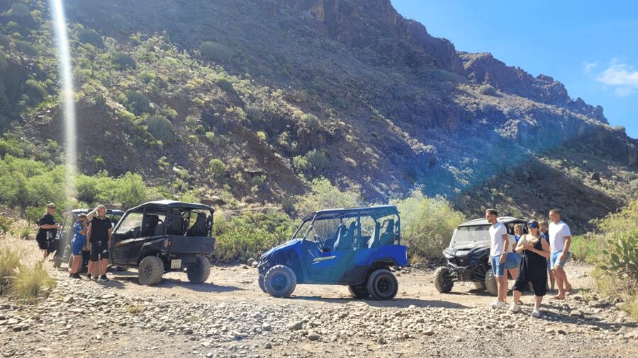 From Maspalomas: Volcanic Landscapes 4-Seater Buggy Tour - Photo stops and the value of slowing down