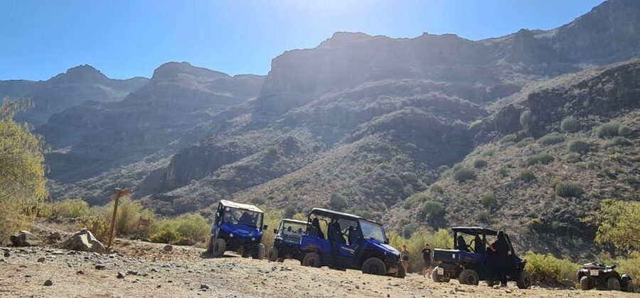 From Maspalomas: Volcanic Landscapes 4-Seater Buggy Tour - Who will get the most from this tour