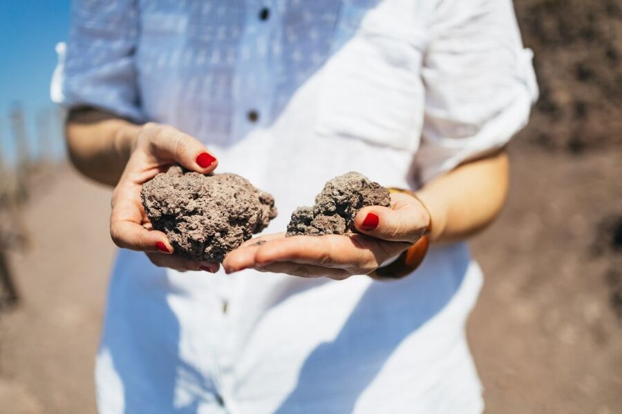 From Naples: All-Inclusive Mount Vesuvius Half-Day Tour - Should you book the Mount Vesuvius half-day tour?