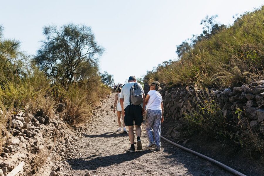 From Naples: All-Inclusive Mount Vesuvius Half-Day Tour - How much time do you get?