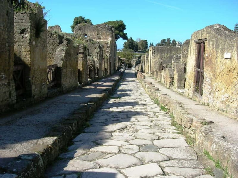 From Naples: Explore the ruins of Herculaneum and Vesuvius - Key points to know before booking