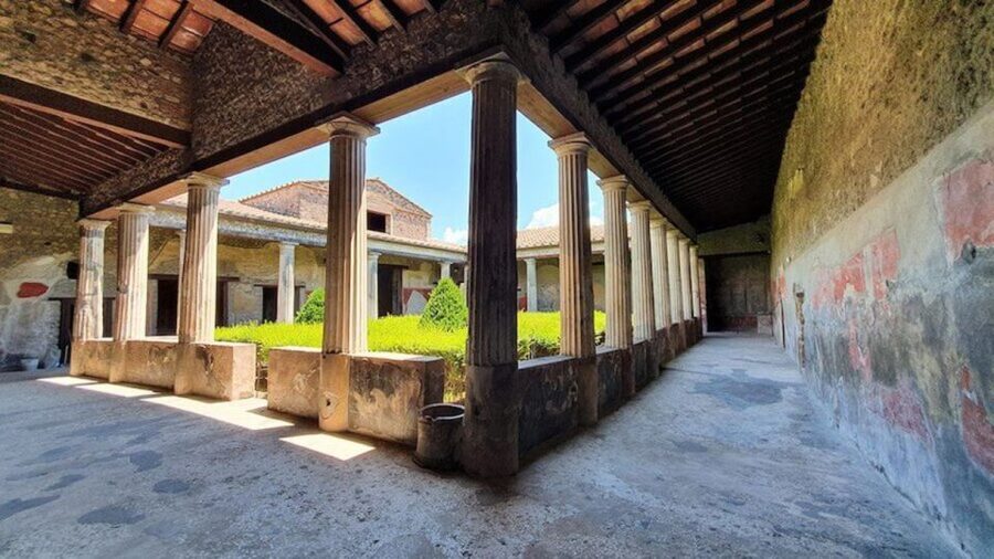 From Naples: Herculaneum, Mount Vesuvius & Pompeii Day Trip - What the host and driver add