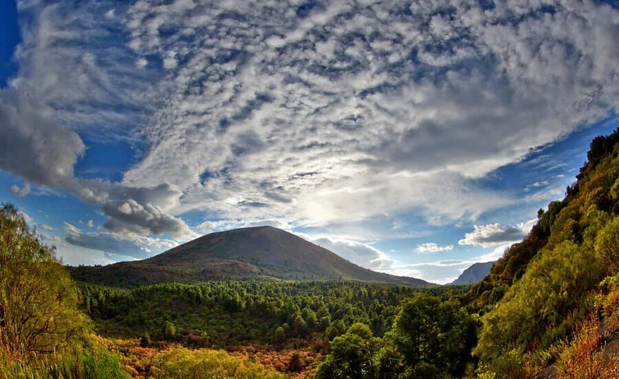 From Naples: Mount Vesuvius Half-Day Tour with Lunch - Meeting the vehicle in central Naples