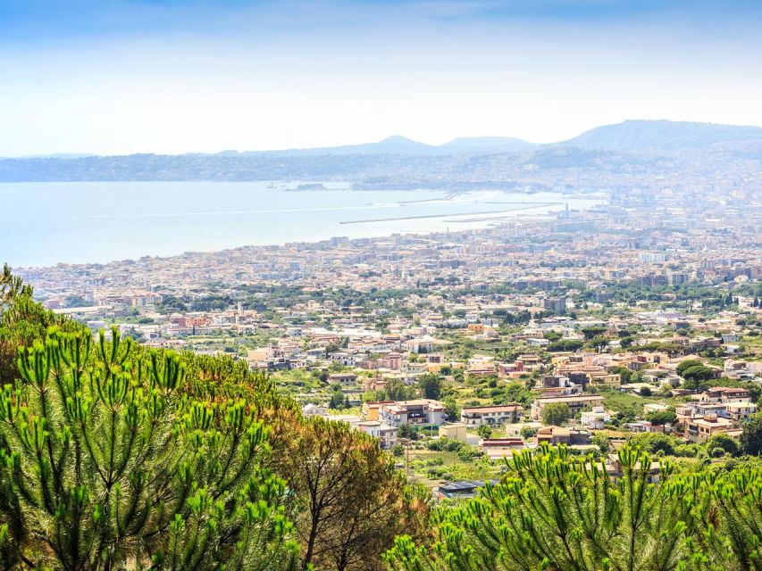 From Naples: Mount Vesuvius Transfer with Entry Tickets - The 40-Minute Ride Up the Volcano