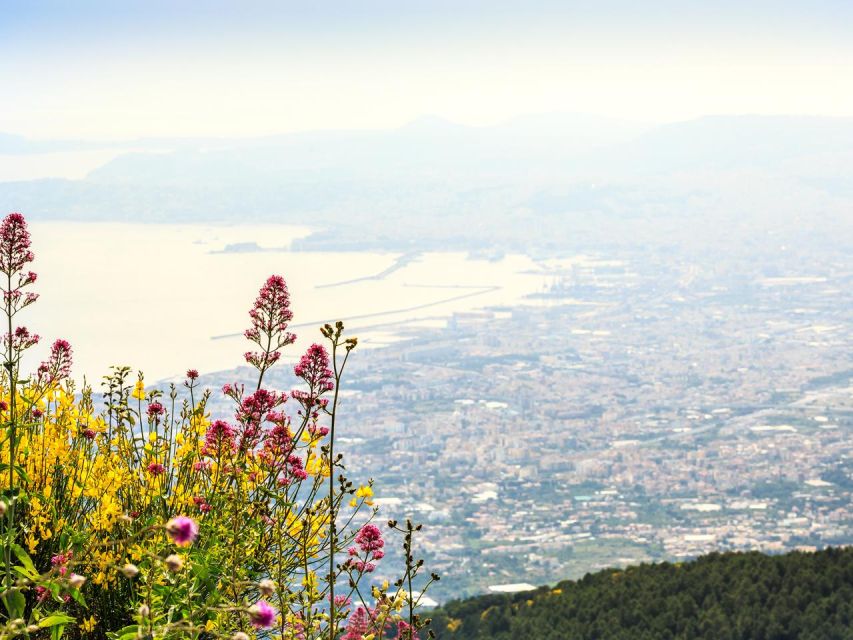 From Naples: Mount Vesuvius Transfer with Entry Tickets - The Steep Walk to the Crater