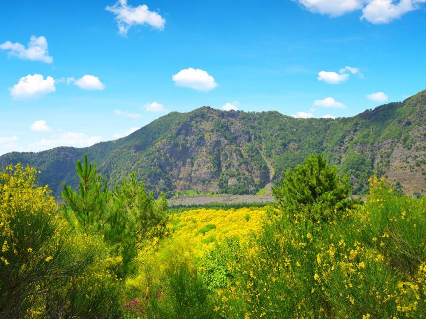 From Naples: Mount Vesuvius Transfer with Entry Tickets - Is the $51.24 Price Good Value?