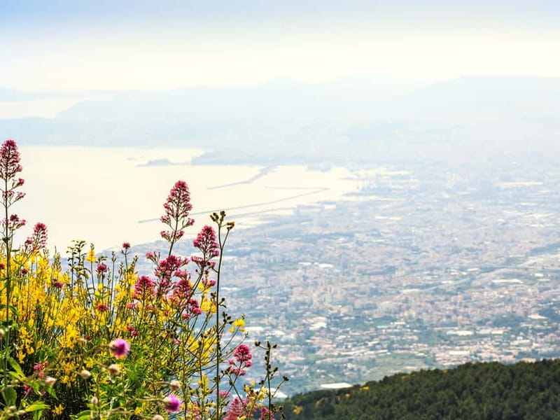 From Naples or Pompeii: Vesuvius Easy Tour - The 40-minute ride toward the volcano