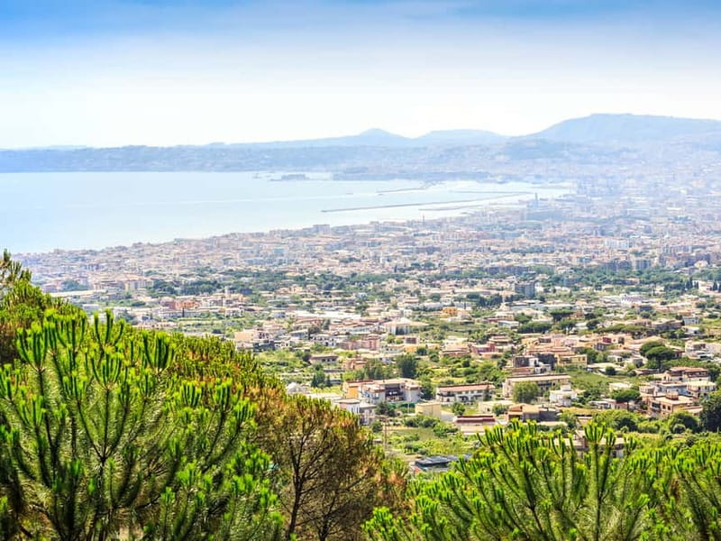 From Naples or Pompeii: Vesuvius Easy Tour - The climb to the Great Cone