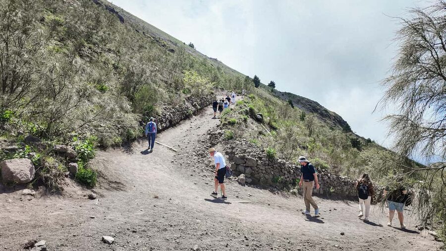 From Naples or Pompeii: Vesuvius Transfer and Entry Ticket - Why the return schedule deserves attention