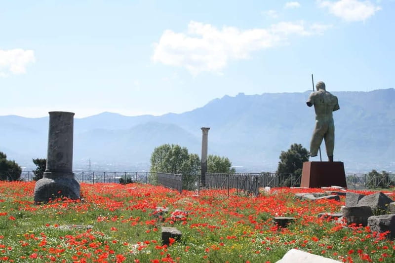 From Naples: Pompeii and Vesuvius by Bus - Should you book it?