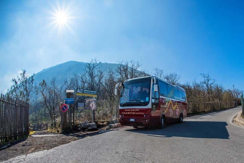 From Naples: Pompeii and Vesuvius by Bus - Why combine Pompeii and Vesuvius in one day?