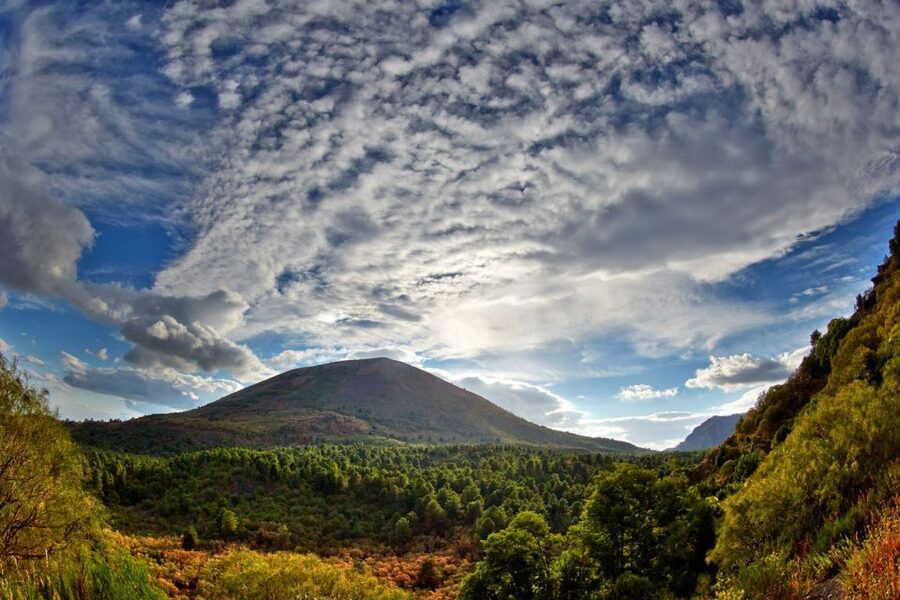 From Naples: Pompeii and Vesuvius Full-Day Tour with Lunch - Why this Naples day trip works