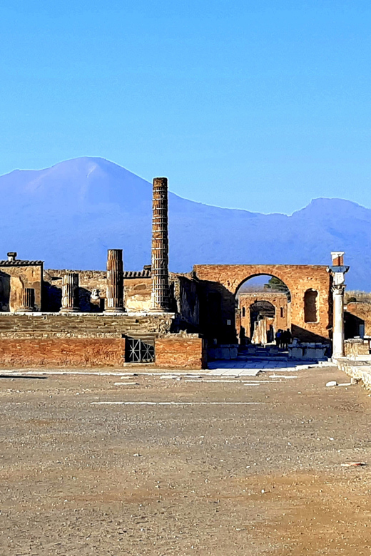 From Naples: Pompeii and Vesuvius Tour with Ticket Options - Walking through Pompeii in two hours