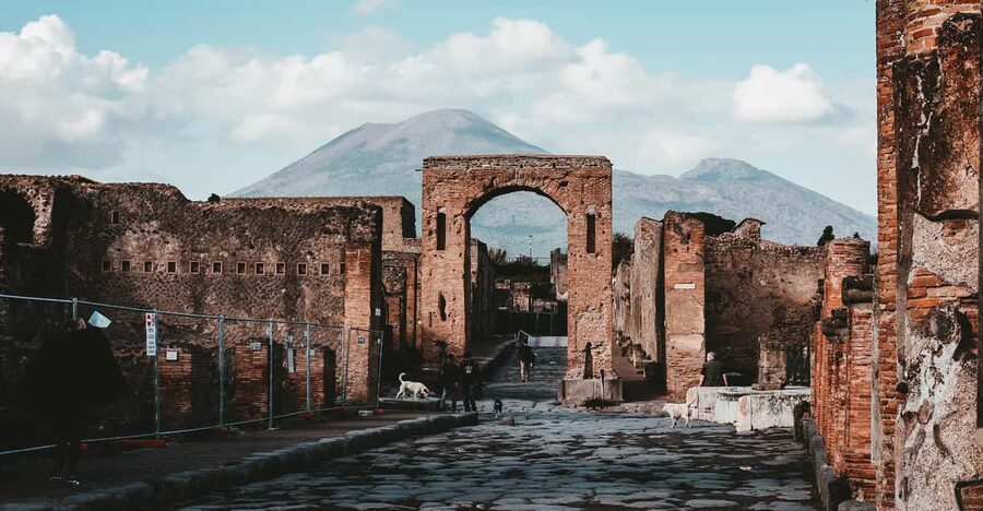 From Naples: Pompeii and Vesuvius Tour with Ticket Options - What the $113.29 price includes