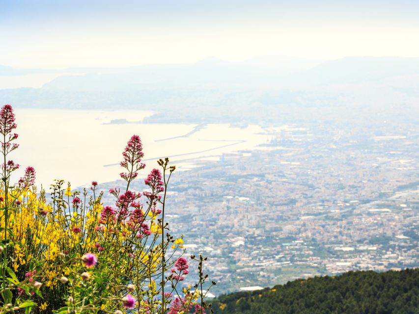 From Naples: Pompeii, Herculaneum, & Vesuvius Full-Day Tour - Who should book this experience?