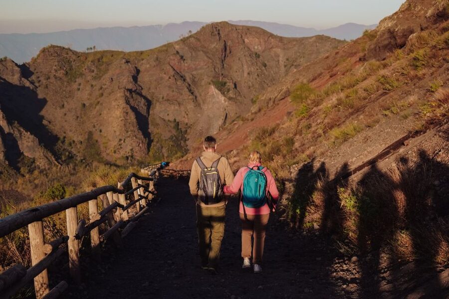 From Naples: Pompeii & Mount Vesuvius Full-Day Private Tour - How the seven-hour schedule works