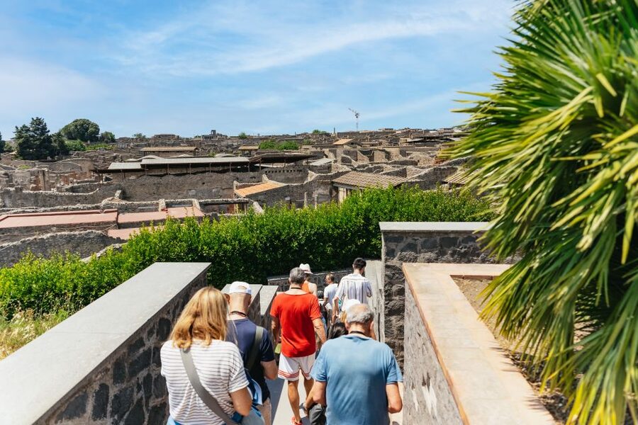 From Naples: Pompeii Ruins & Mount Vesuvius Day Tour - The winding climb to Mount Vesuvius