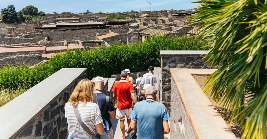 From Naples: Pompeii Ruins & Mount Vesuvius Day Tour - Live guide or audio guide?