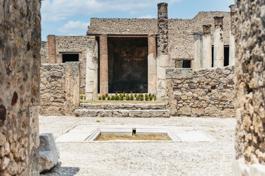 From Naples: Pompeii Ruins & Mount Vesuvius Day Tour - Is $120.84 good value?