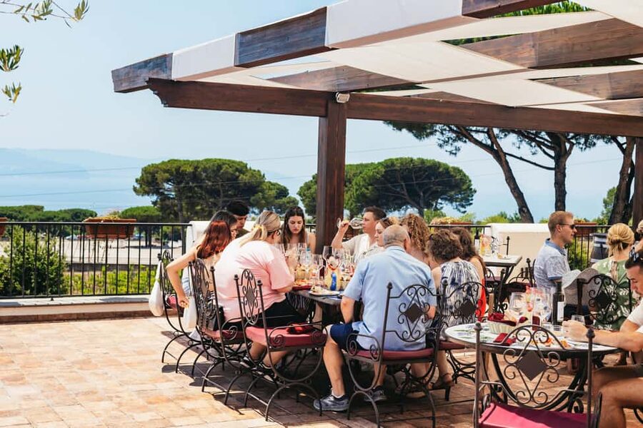From Naples: Wine Tasting Tour on Vesuvius Slopes with Lunch - Key points to know before you book