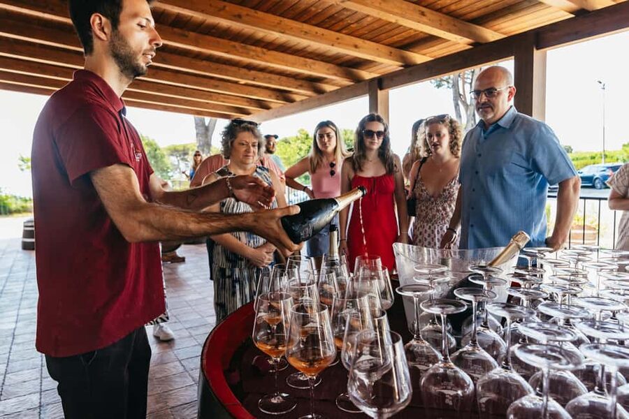 From Naples: Wine Tasting Tour on Vesuvius Slopes with Lunch - Lunch on the terrace with local wines
