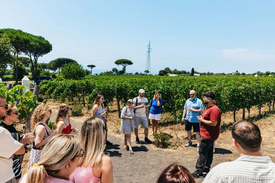 From Naples: Wine Tasting Tour on Vesuvius Slopes with Lunch - The views are worth leaving Naples for