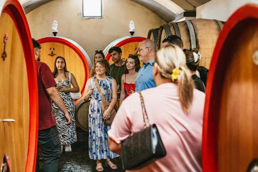 From Naples: Wine Tasting Tour on Vesuvius Slopes with Lunch - How the four hours are really used