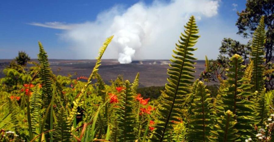 From Oahu: Big Island Volcano Adventure - One day, two very different sides of the Big Island