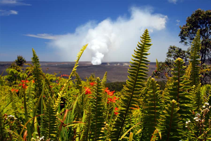 From Oahu: Big Island Volcano Adventure & Helicopter - Halema‘uma‘u Crater and the power of Kīlauea