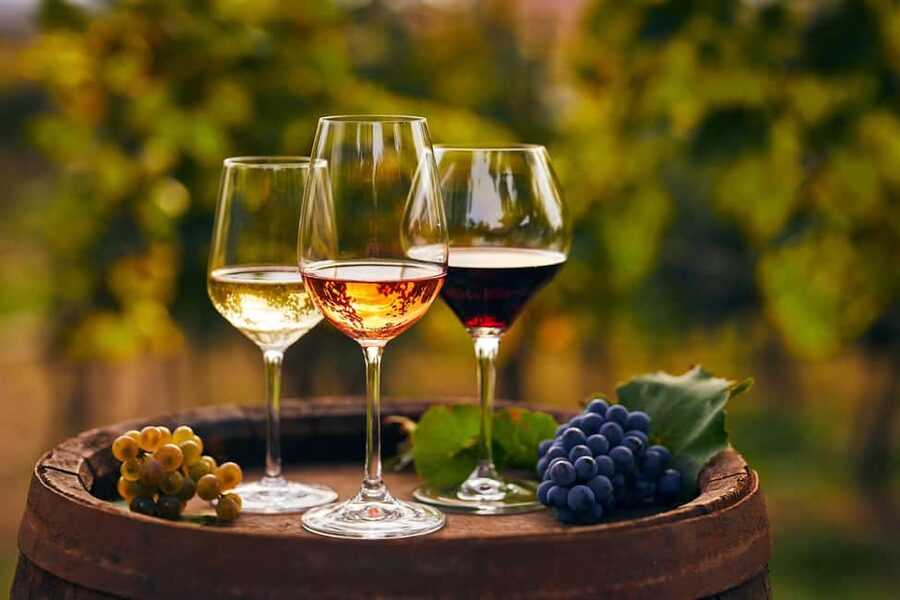 From Pompeii: Mount Vesuvius Wine Tasting and Lunch - What the vineyard walk actually includes