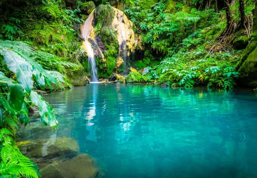 From Ponta Delgada: Lagoa do Fogo & Hot Springs Day Trip - Caldeira Velha: The Main Decision of the Day