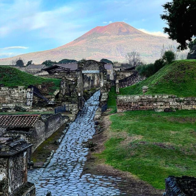 From Positano: Pompeii and Vesuvius Guided Tour - The crater walk and the weather question