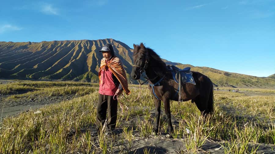 From Probolinggo: Mount Bromo Sunset Tour by Land Cruiser - Shared transport, timing, and the private-ride question