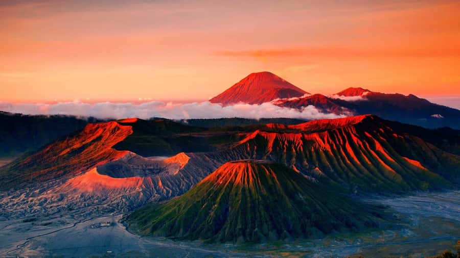 From Probolinggo: Mount Bromo Sunset Tour by Land Cruiser - Leaving Probolinggo at 2pm