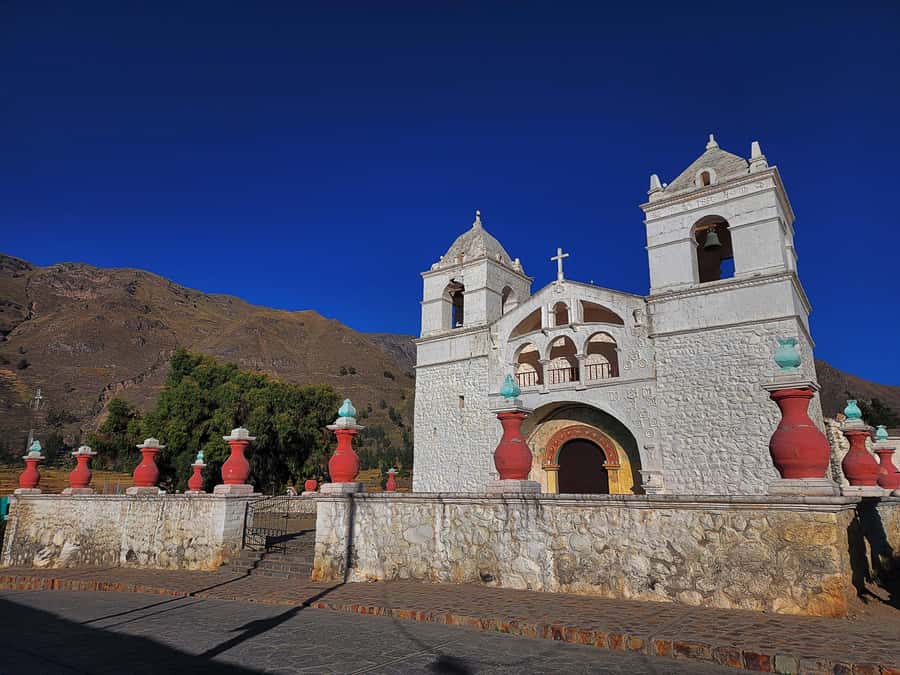 From Puno: 2-Day Tour to Colca Canyon ending in Arequipa - Wildlife in Salinas and Aguada Blanca Reserve