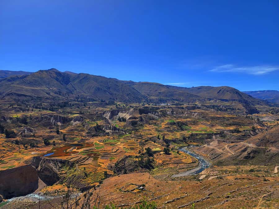 From Puno: 2-Day Tour to Colca Canyon ending in Arequipa - 6:00 a.m. from Puno to Lagunillas
