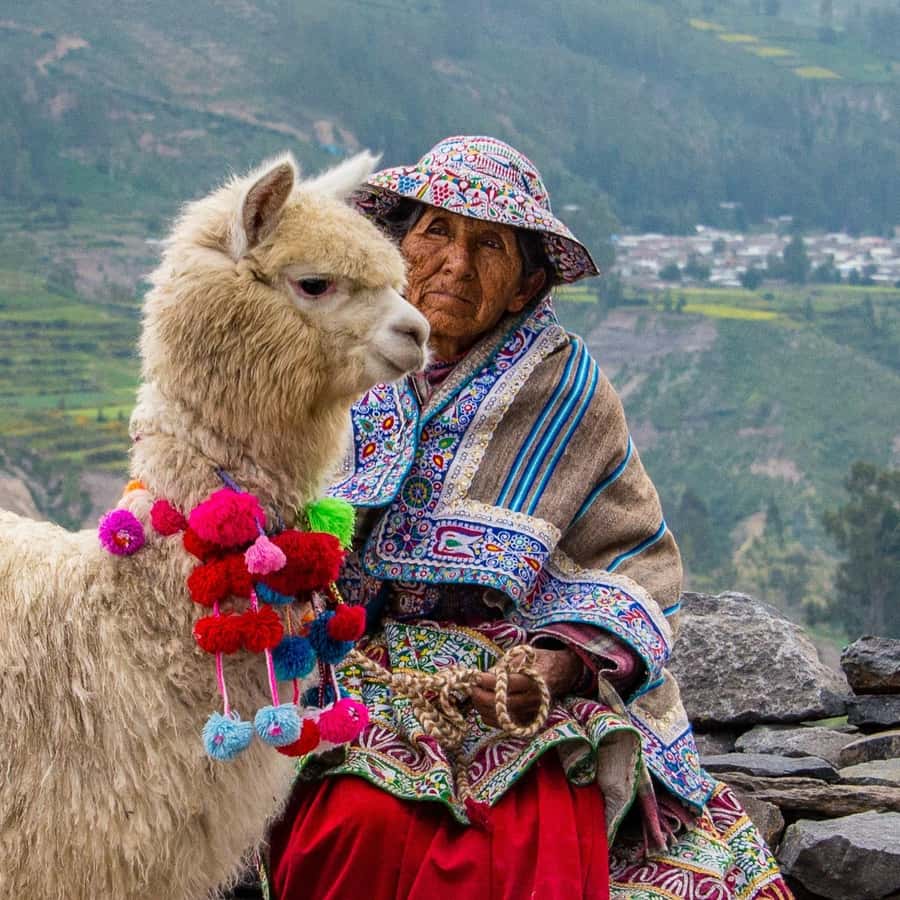 From Puno to Arequipa: 2 Days/1 Night Colca Canyon Tour - Patapampa and the Volcanoes Viewpoint