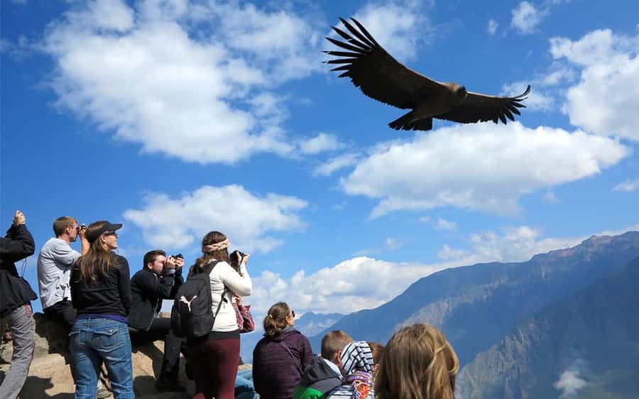 From Puno to Arequipa: 2 Days/1 Night Colca Canyon Tour - Chivay overnight: simple, useful, and well placed