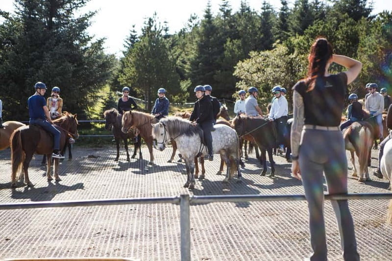 From Reykjavík: Icelandic Horse Riding Tour in Lava Fields - Should You Book the Íshestar Ride?