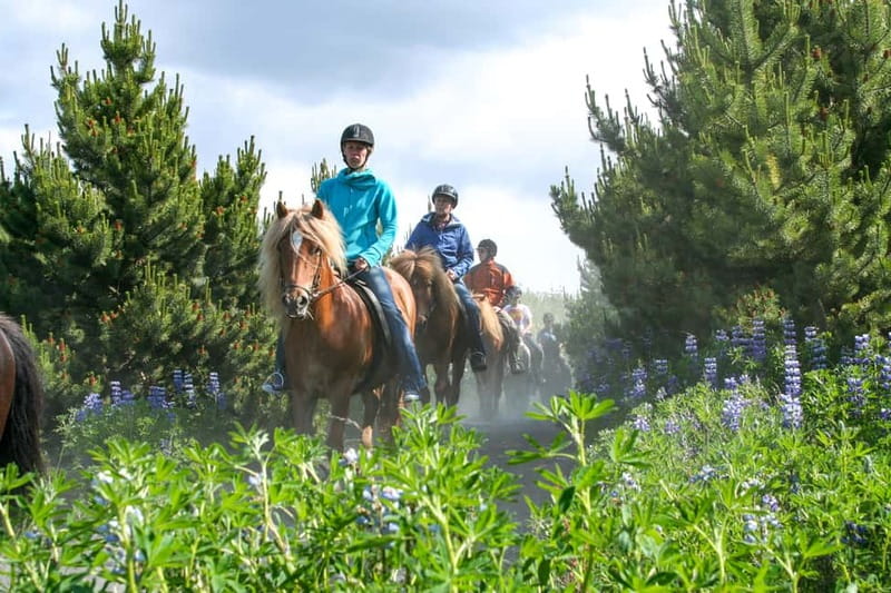 From Reykjavík: Icelandic Horse Riding Tour in Lava Fields - Getting Dressed for Icelandic Weather