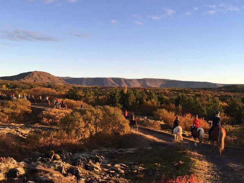 From Reykjavík: Icelandic Horse Riding Tour in Lava Fields - The Facilities and Staff Matter